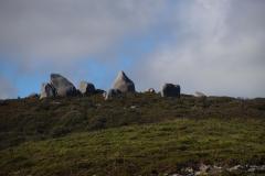 IMG_6647-1024x682