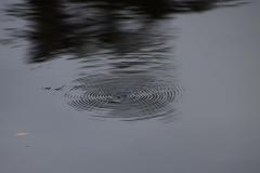 IMG_6696-1024x682