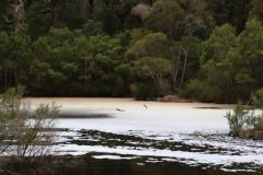 IMG_6733-1024x682