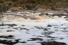 IMG_6738-1024x682