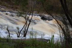 IMG_6766-1024x682