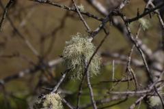 IMG_6769-1024x682