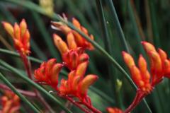 IMG_6850-1024x682