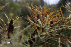 IMG_6855-1024x682