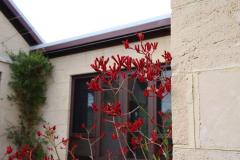 IMG_6856-1024x682
