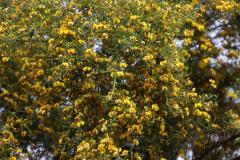 IMG_6870-1024x682