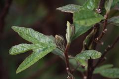 IMG_6882-1024x682