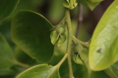 IMG_6890-1024x682