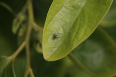 IMG_6897-1024x682