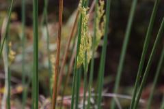 IMG_6912-1024x682