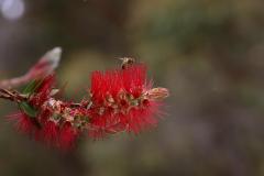 IMG_6925-1024x682