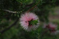 IMG_6929-1024x682