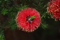 IMG_6970-1024x682