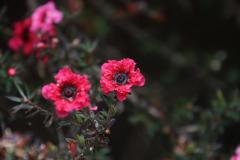 IMG_7046-1024x682