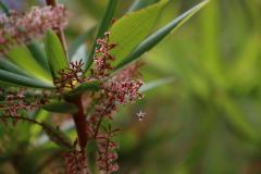 IMG_7062-1024x682