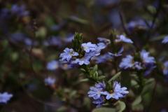 IMG_7088-1024x682