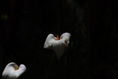 IMG_7180-1024x682
