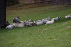 IMG_7248-1024x682