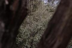 IMG_7316-1024x682