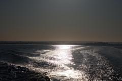 IMG_1854