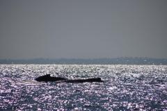 IMG_1940