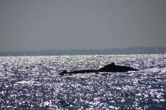IMG_1953