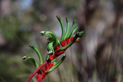 IMG_2961-scaled