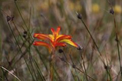 IMG_2984-scaled
