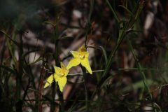IMG_2992-scaled
