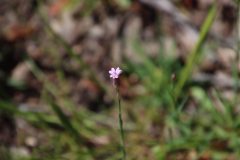 IMG_3019-scaled