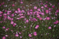 IMG_3041-scaled