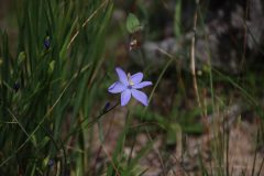 IMG_3059-scaled