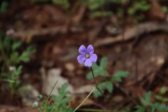 IMG_3063-scaled