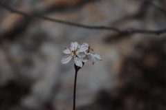 IMG_3074-scaled