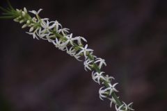 IMG_3126-scaled