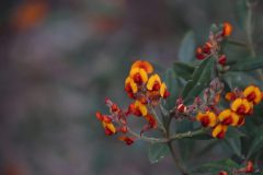 IMG_3183-scaled