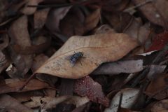 IMG_3185-scaled