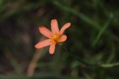 IMG_3215-scaled
