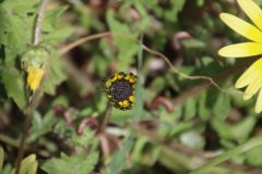 IMG_3224-scaled