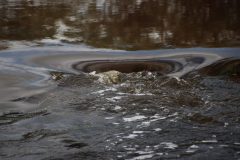 IMG_3277-scaled