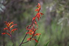 IMG_3366-1-scaled