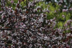 IMG_3393-scaled