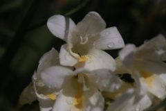 IMG_3401-scaled
