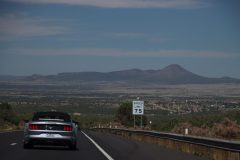IMG_8331-scaled