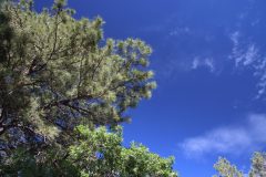IMG_8727-scaled