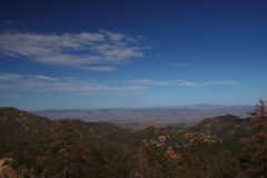 IMG_8745-scaled