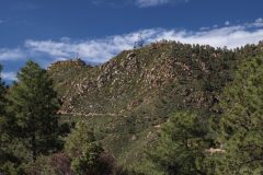 IMG_8773-scaled