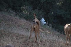 IMG_8863-scaled