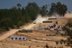 DCF 1.0
