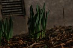 IMG_6602